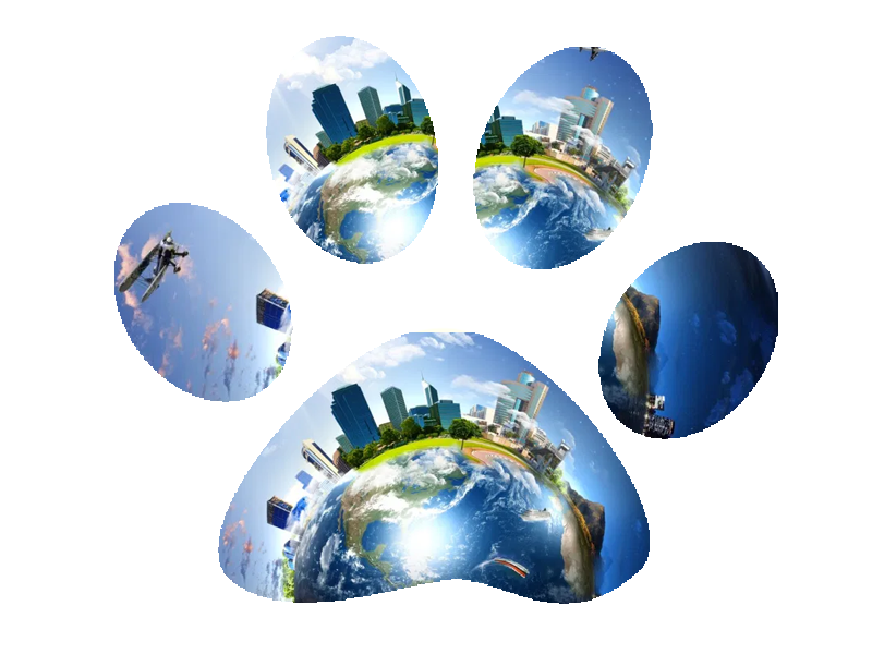 image société thermo-industrielle